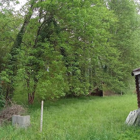 Charmante Yourte Contemporaine Carmaux Екстериор снимка